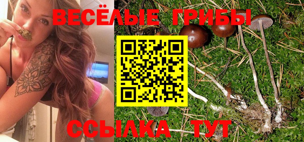 Псилоцибиновые грибы Magic Shrooms Лесозаводск